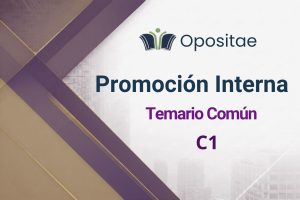 Temario Completo C1 Promoción Interna