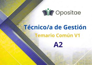 Temario Común Vol 1 Técnico Gestión