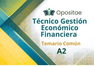 Temario Común Técnico Gestión Económico Financiera