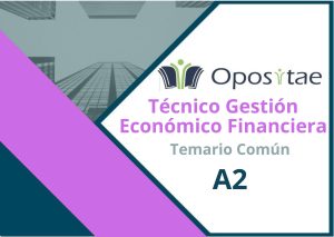 Temario Común Técnico Gestión Económico Financiera