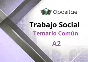 Temario Común Trabajo Social