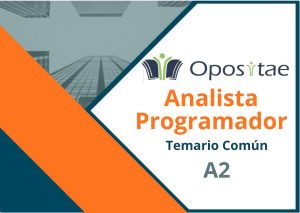 Temario Común Analista Programador
