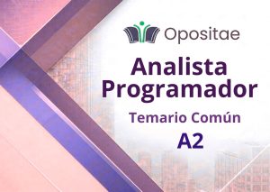 Temario Común Analista Programador