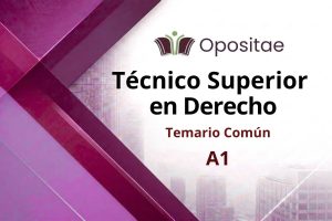 Temario Común Técnico Superior en Derecho